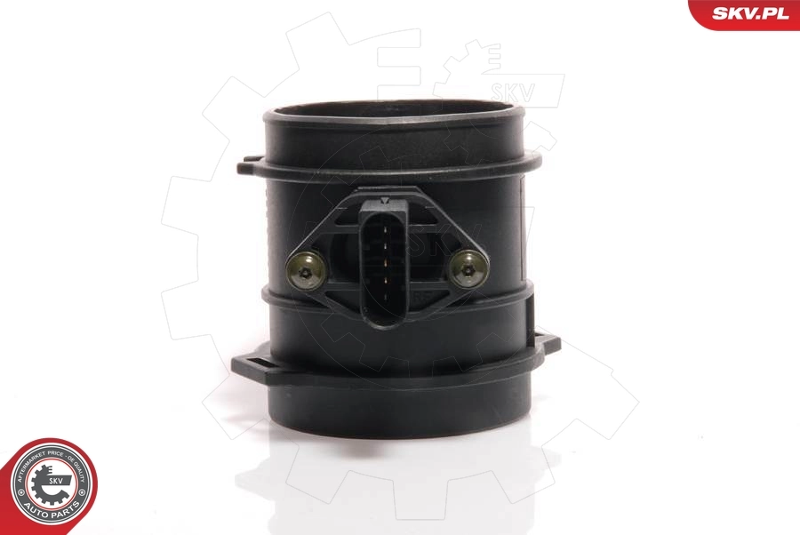 Mass Air Flow Sensor